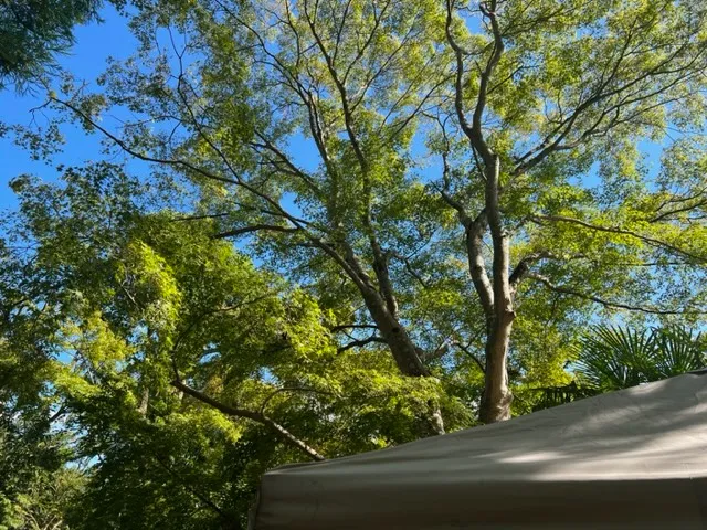 株式会社　八景